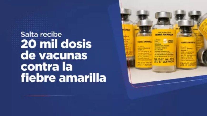 Salta recibe 20 mil dosis de vacunas contra la fiebre amarilla tras brote detectado en Bolivia