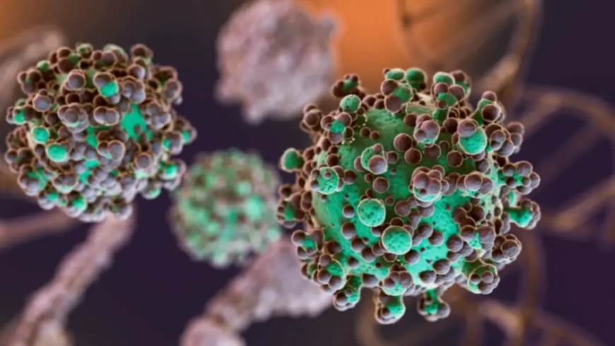 Hantavirus: se identificaron 3 nuevos casos en Argentina