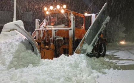 Rescataron a más de 20 personas que habían quedado atrapadas en la nieve en Mendoza