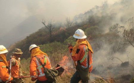 BOLIVIA - PRESIDENTE PAZ PIDE INVESTIGAR EL ORIGEN DE LOS INCENDIOS ANTE INDICIOS DE FOCOS PROVOCADOS