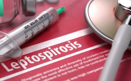Detectan casos de leptospirosis en animales en la zona sudeste de Salta y refuerzan controles sanitarios