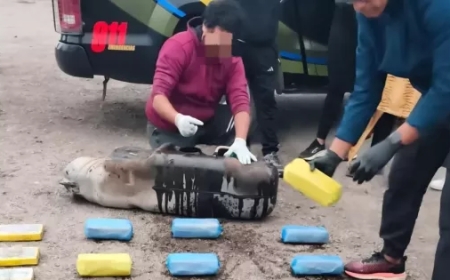 La Policía de Salta desarticuló una organización narcocriminal y secuestró más de 190 kilos de cocaína