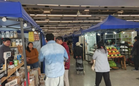 MERCADO SAN MIGUEL - Ubican a todos los puesteros en dos puntos y estiman avances antes de fin de año