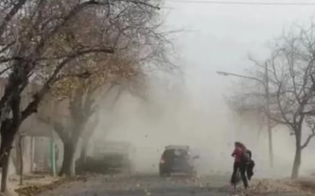 Alerta por viento zonda: bomberos refuerzan operativos y advierten sobre riesgo de incendios en San Lorenzo