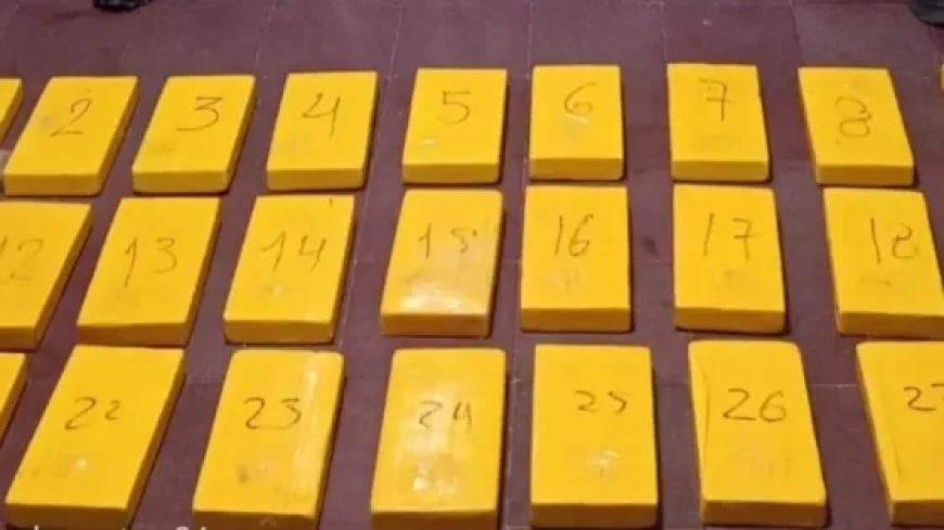 La Policía de Salta realizó múltiples procedimientos antidrogas en distintos puntos de la provincia