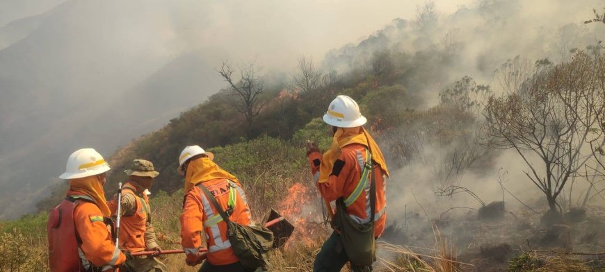 BOLIVIA - PRESIDENTE PAZ PIDE INVESTIGAR EL ORIGEN DE LOS INCENDIOS ANTE INDICIOS DE FOCOS PROVOCADOS