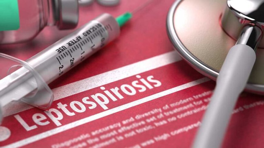 Detectan casos de leptospirosis en animales en la zona sudeste de Salta y refuerzan controles sanitarios