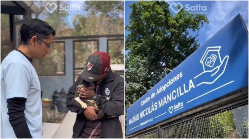 Adopción responsable y vacunación: invitan a sumar un “viejito” a la familia y cuidar la salud animal