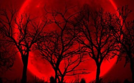 A qué hora se podrá ver la "Luna de sangre"