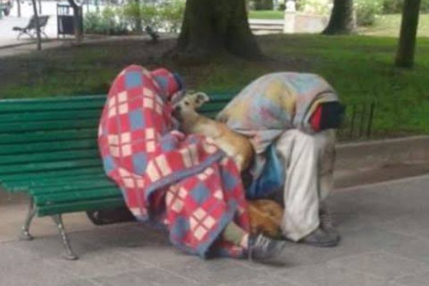 Preocupación por la situación de la Plaza Güemes: vecinos denuncian consumo de drogas, personas durmiendo y falta de seguridad
