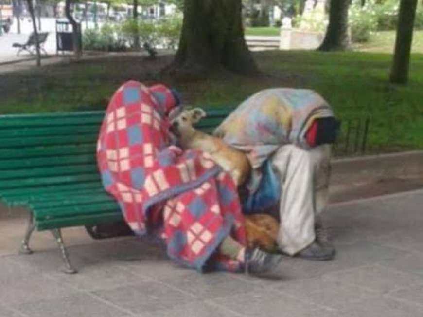 Preocupación por la situación de la Plaza Güemes: vecinos denuncian consumo de drogas, personas durmiendo y falta de seguridad