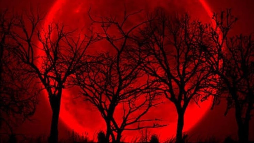 A qué hora se podrá ver la "Luna de sangre"