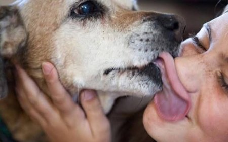 Advierten sobre la hidatidosis y explican cómo prevenir el contagio a través de los perros