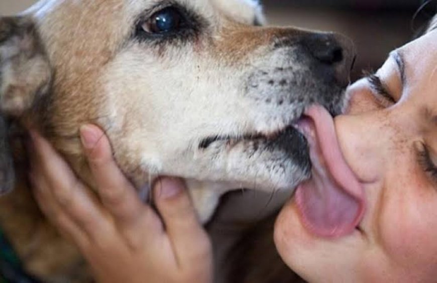 Advierten sobre la hidatidosis y explican cómo prevenir el contagio a través de los perros