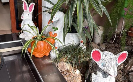 Desesperado pedido de una vecina: roban plantas y objetos de su madre fallecida con valor sentimental