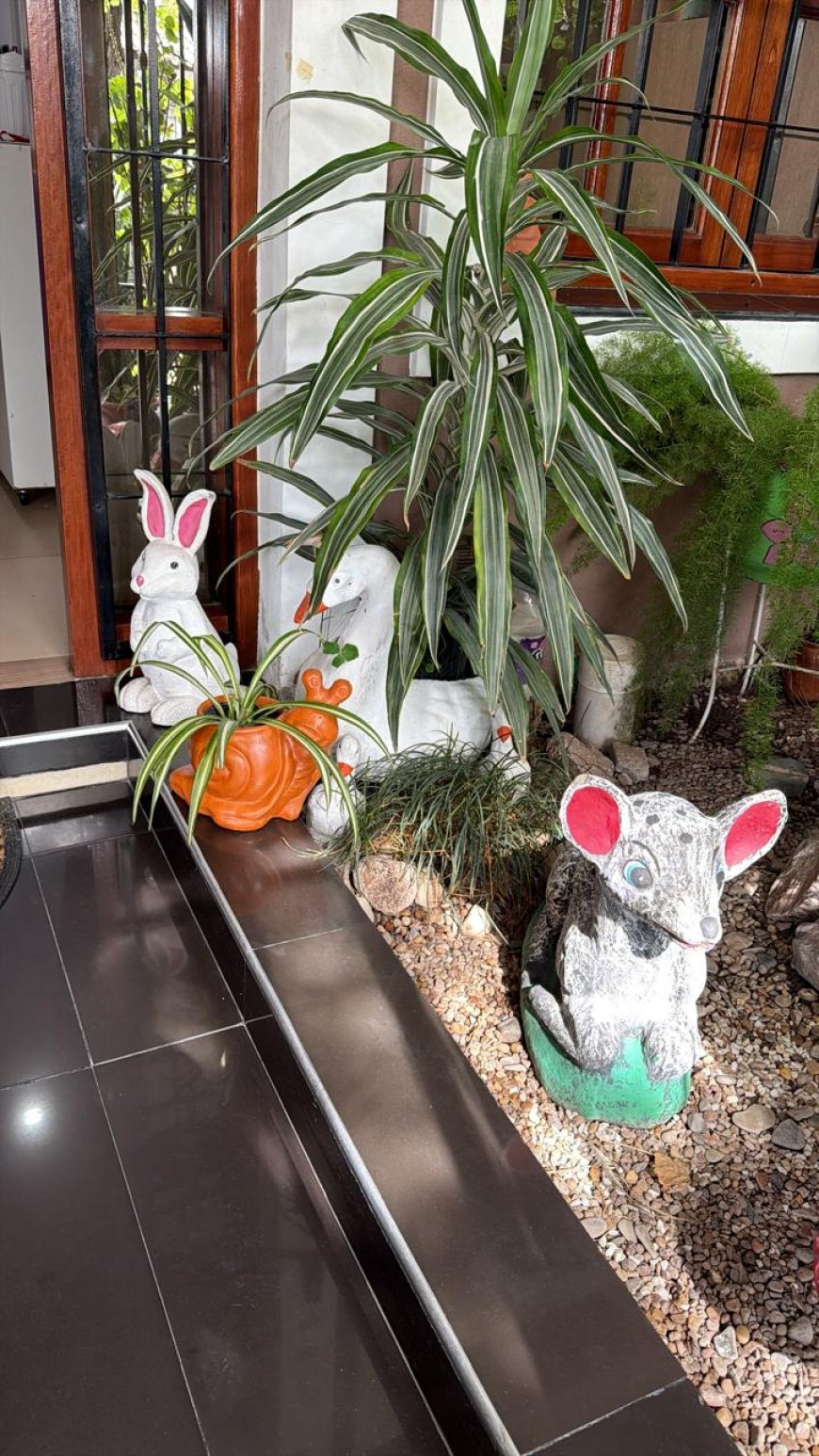 Desesperado pedido de una vecina: roban plantas y objetos de su madre fallecida con valor sentimental